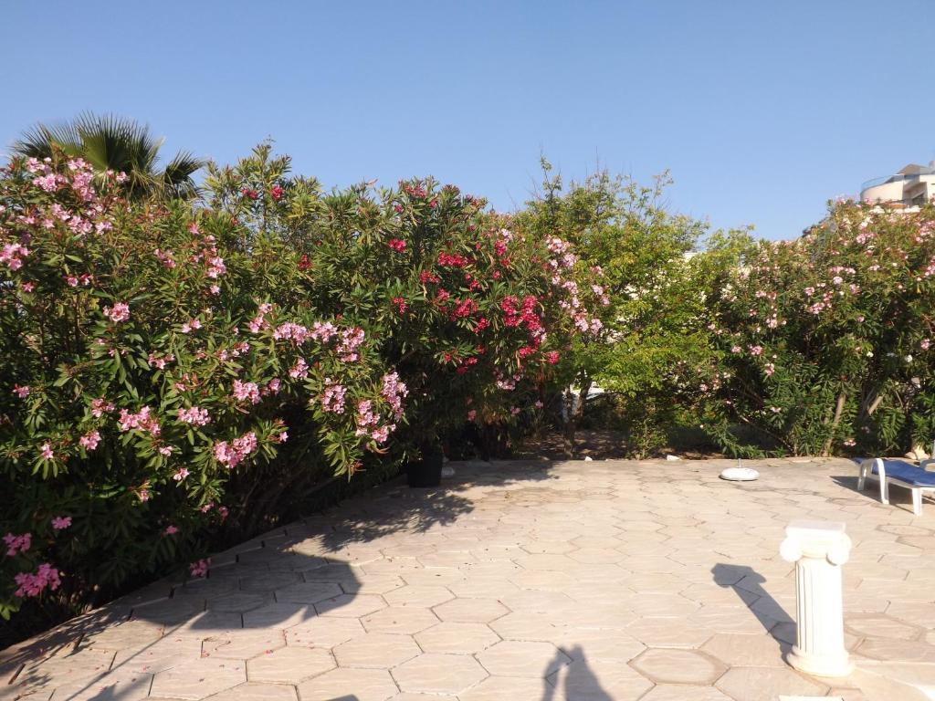 Paradise Ozanköy Kültér fotó