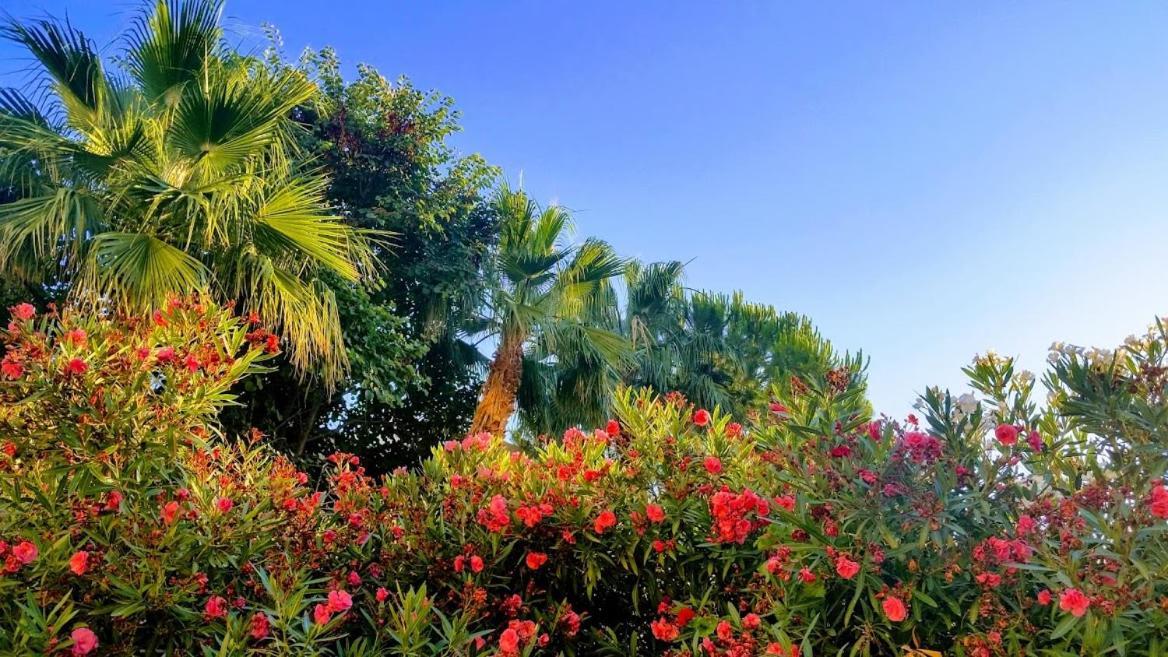 Paradise Ozanköy Kültér fotó
